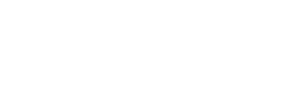 Phoenix-kessaku